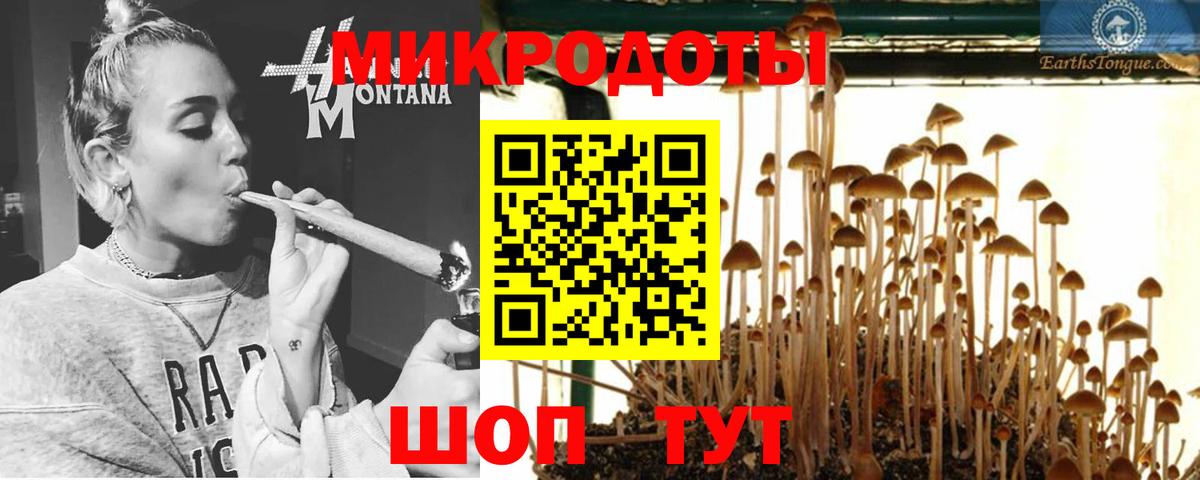 Муравленко  Псилоцибиновые грибы прущие грибы  Вход с VPN 